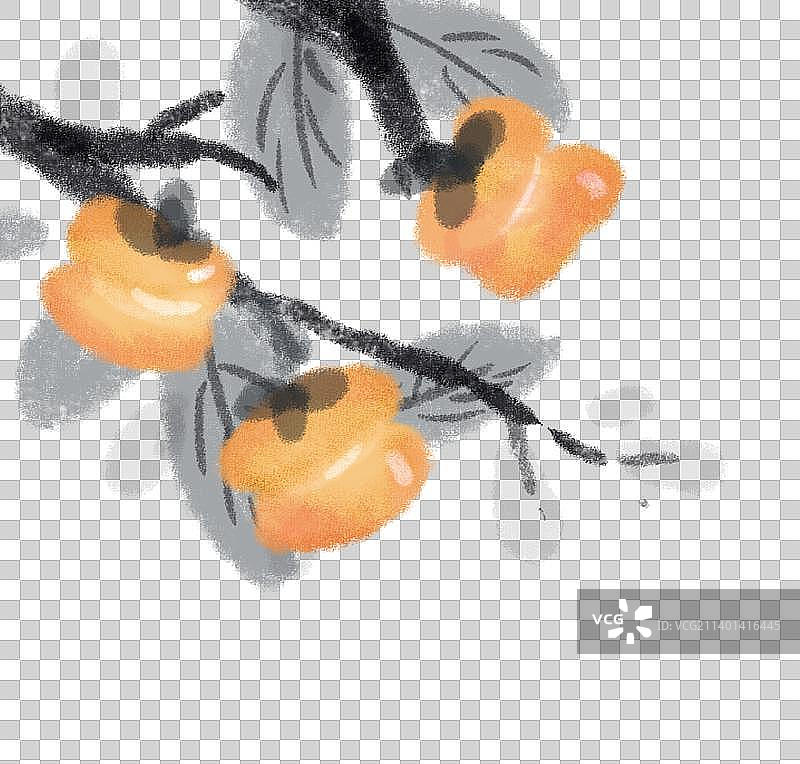 手绘植物图片素材