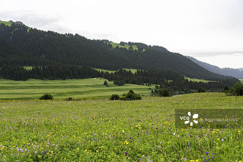 新疆唐布拉草原，百里山水画廊图片素材