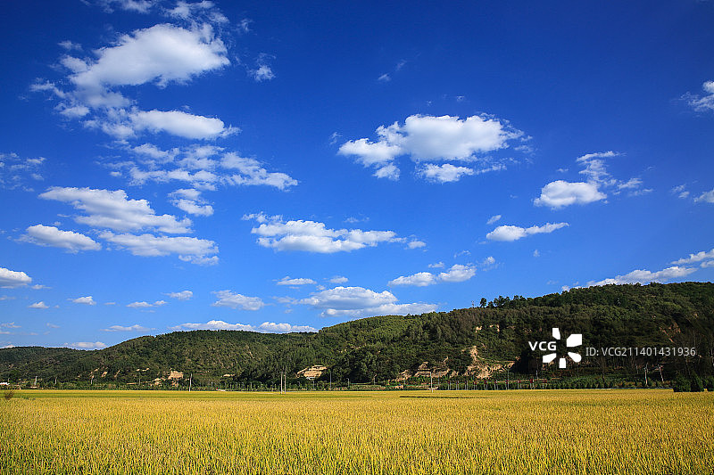 延安南泥湾图片素材