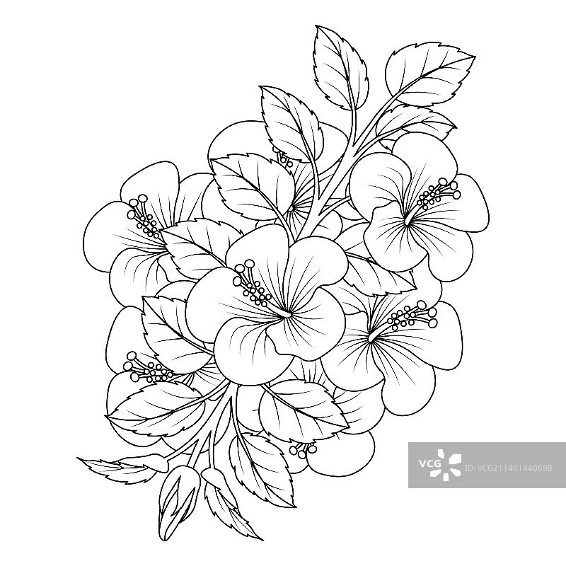 普通芙蓉花填色页图片素材