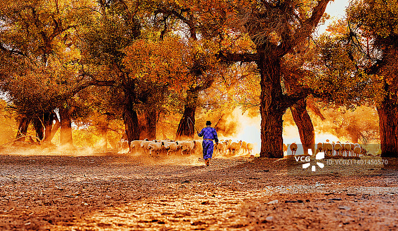 牧羊人图片素材