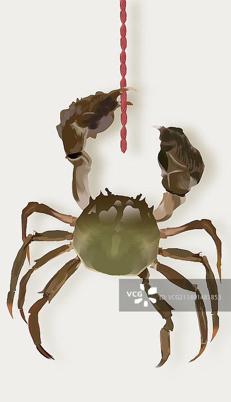 农副水产品阳澄湖梁子湖大闸蟹螃蟹美食秋天食物插画图片素材