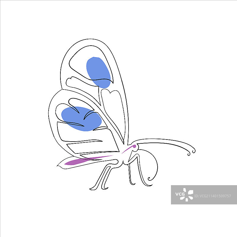 蝴蝶线条艺术绘画风格图片素材