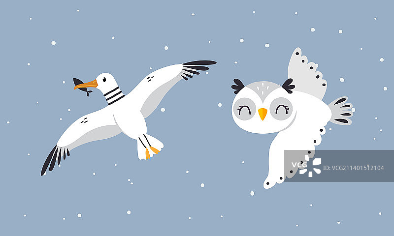 可爱的极地野生动物（信天翁和猫头鹰）合集图片素材