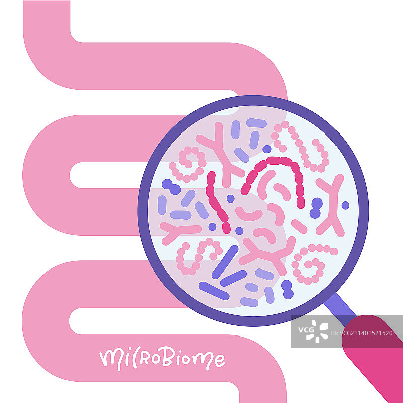 人类肠道与放大镜图片素材