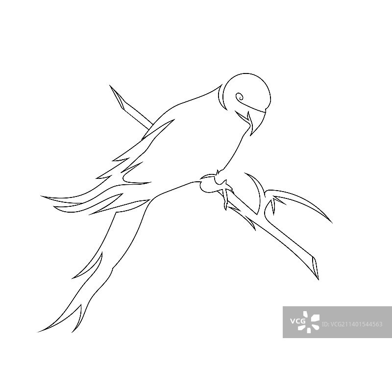 鹦鹉站立线条艺术图片素材
