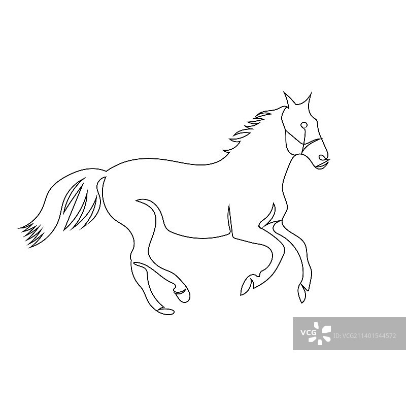 马匹线条艺术画图片素材