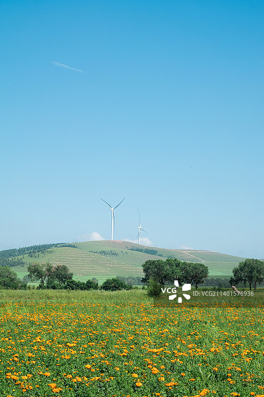 沽源草原天路风光图片素材