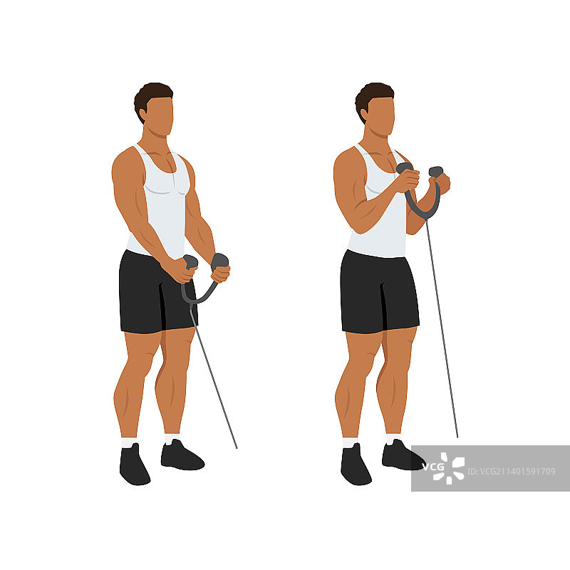 男人用绳索做二头肌锤式弯举图片素材