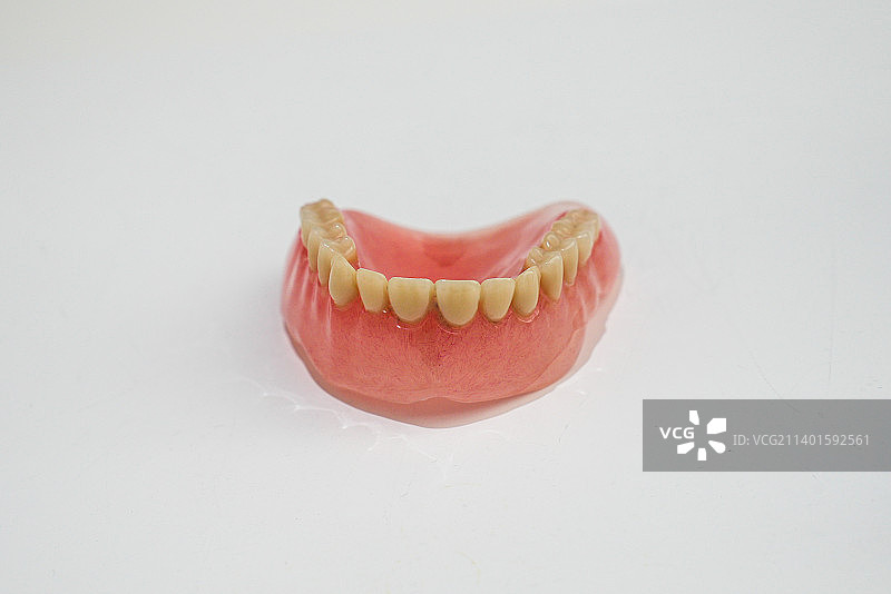 口腔牙齿下牙模型图片素材