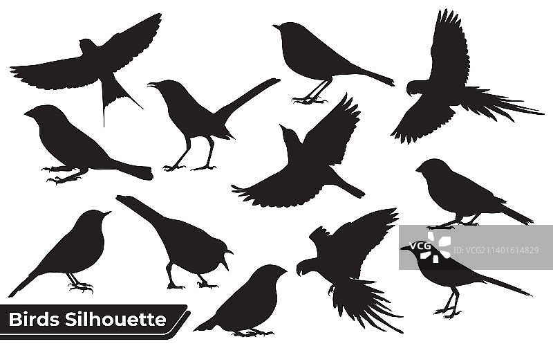 不同类型鸟类的飞行剪影图片素材