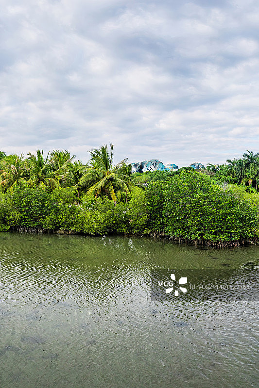 海南省三亚市吉阳区临春河白鹭公园图片素材