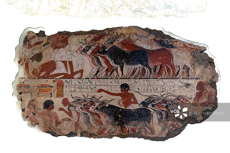 大英博物馆藏埃及卢克索公园前十四世纪内巴蒙墓壁画图片素材