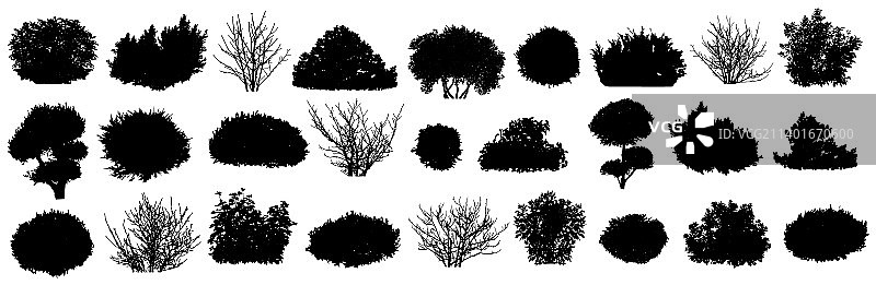 灌木和裸灌木装饰花园素材图片素材