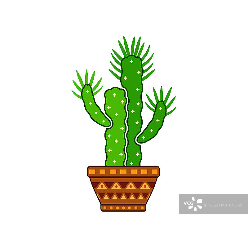 圆筒仙人掌图片素材