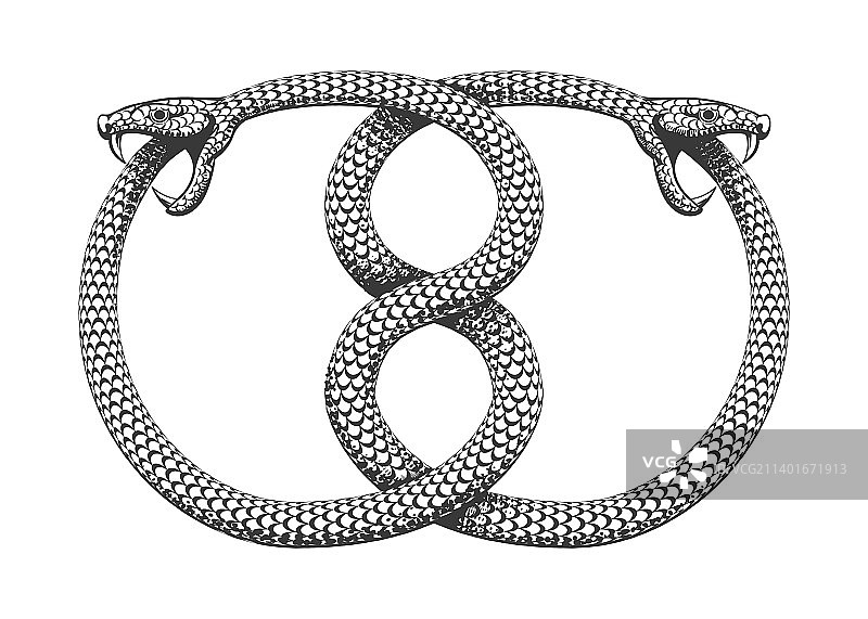两条相互缠绕的衔尾蛇正在吞食自己的尾巴图片素材