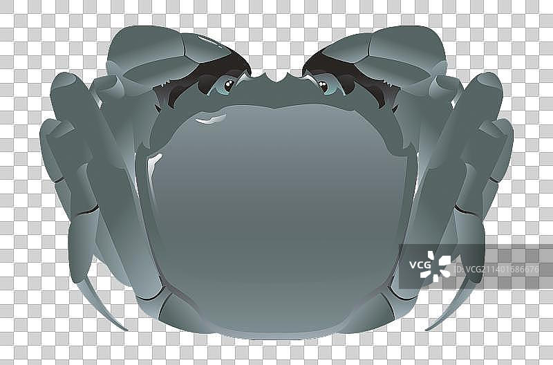 传统节气秋分大闸蟹美食图片素材