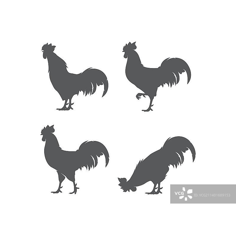 公鸡logo图标图片素材