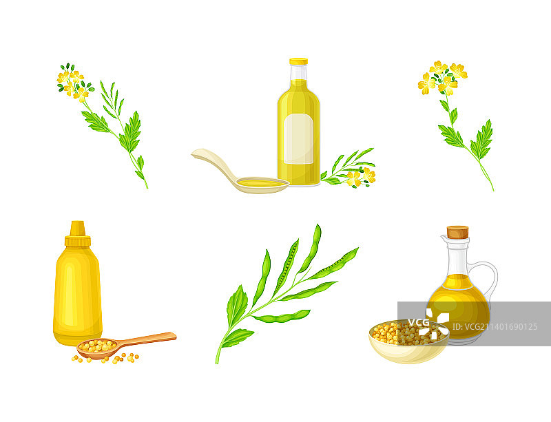 罐子里的芥末籽油和酱汁图片素材