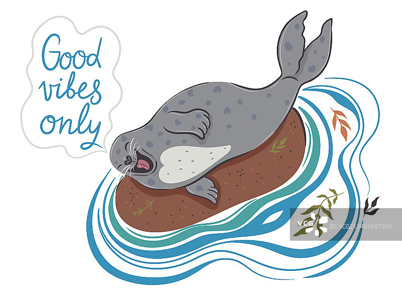 可爱海豹留言明信片图片素材