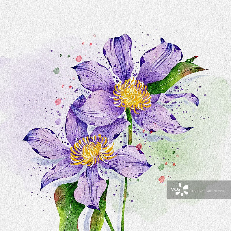 水彩花卉图片素材