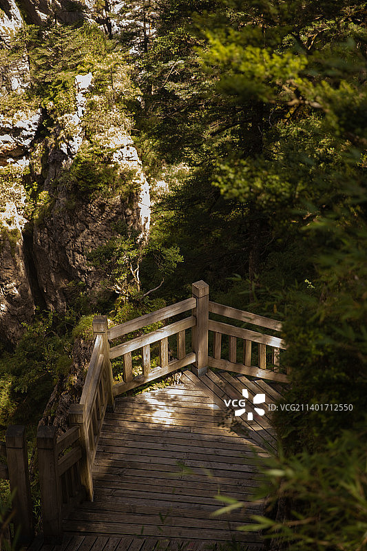 神农架-神农谷图片素材