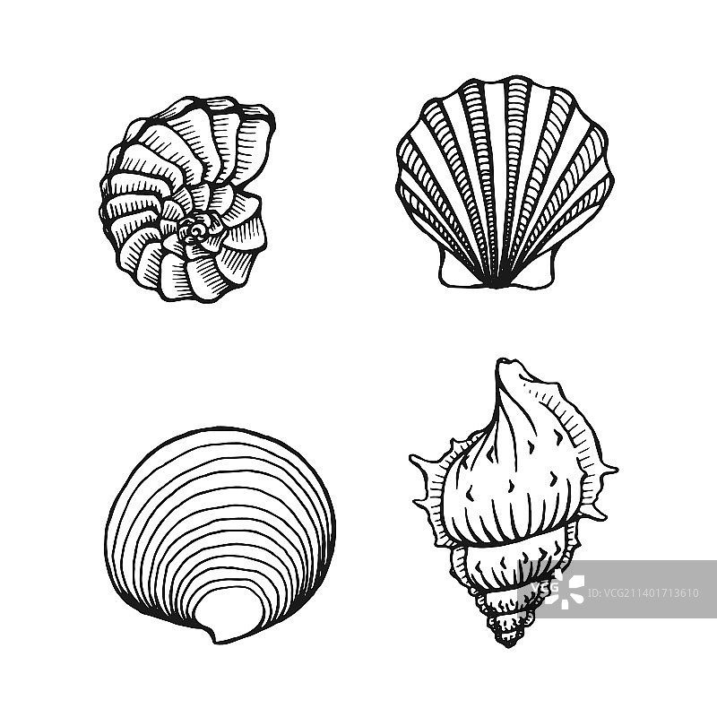 手绘贝壳海洋背景图片素材
