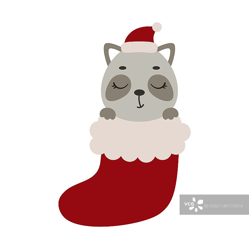 圣诞袜中的可爱小浣熊卡通图片素材