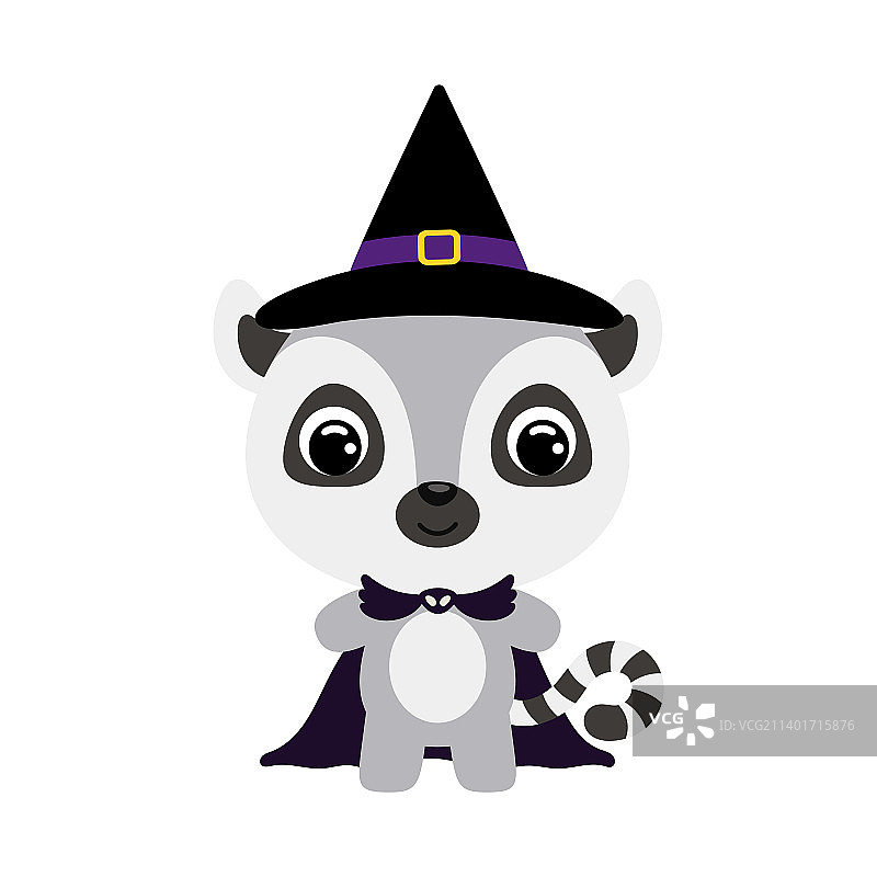 万圣节可爱小狐猴巫师装扮图片素材