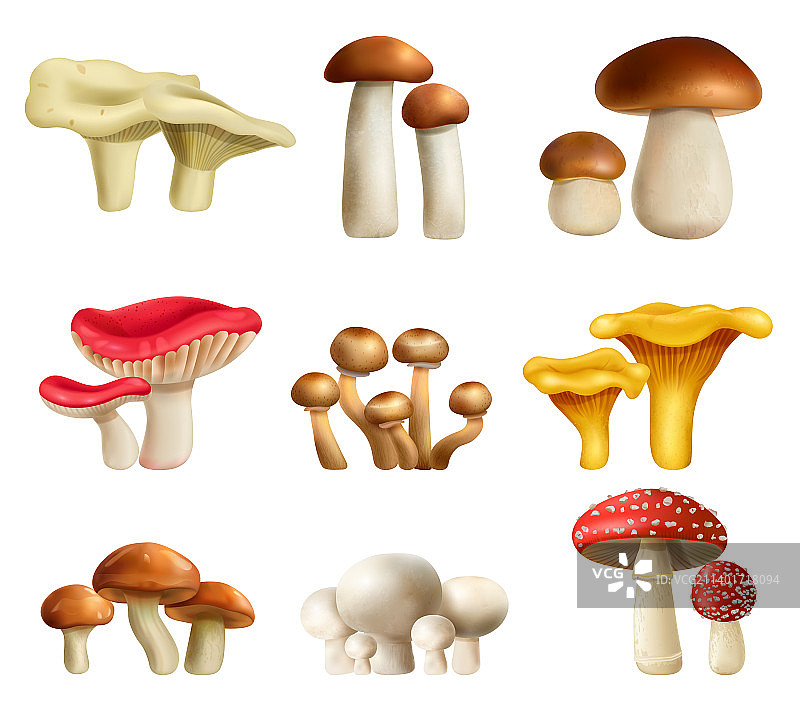 写实蘑菇素材图片素材