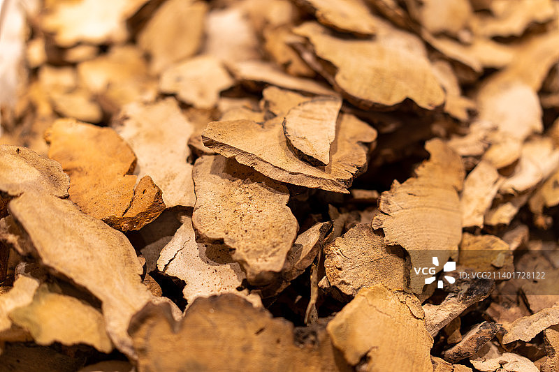 满画幅 土茯苓图片素材