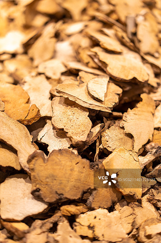 满画幅 土茯苓图片素材