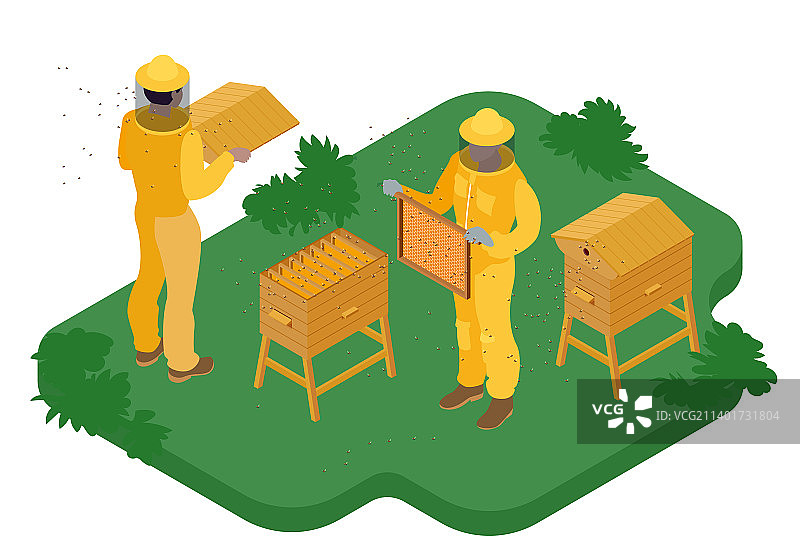 养蜂2.5D构图图片素材