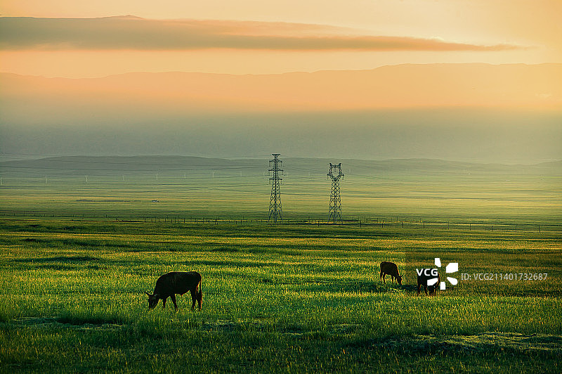 草原风光（三）图片素材
