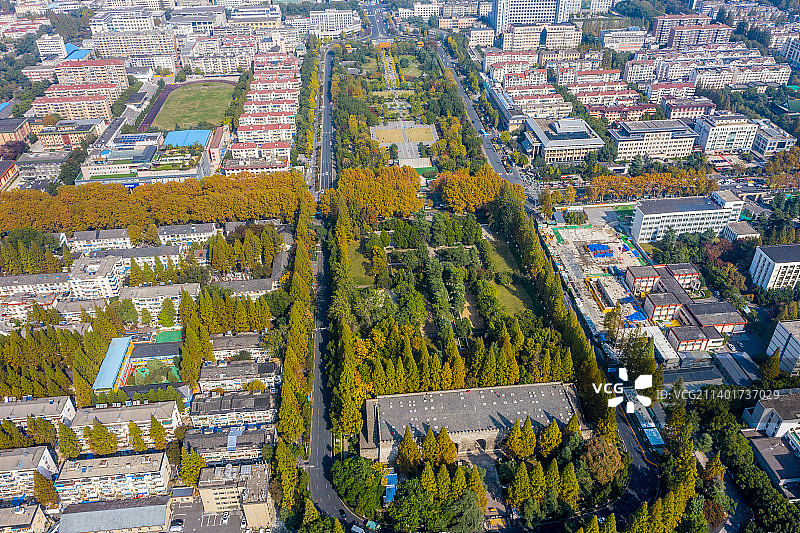 航拍南京故宫宫城核心区遗址 南京明故宫遗址公园 南京午朝门公园图片素材