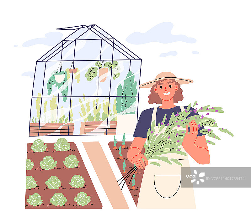 在自家菜园里的女园丁图片素材