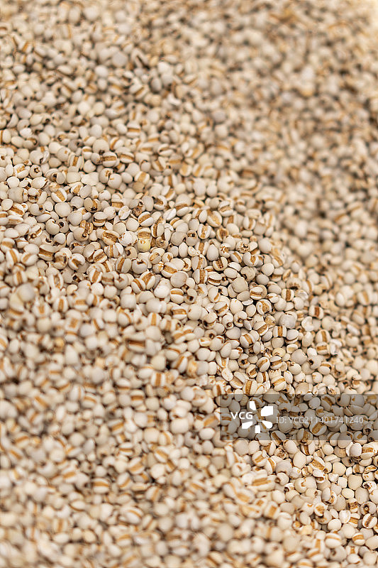 满画幅 薏米 小薏仁米图片素材