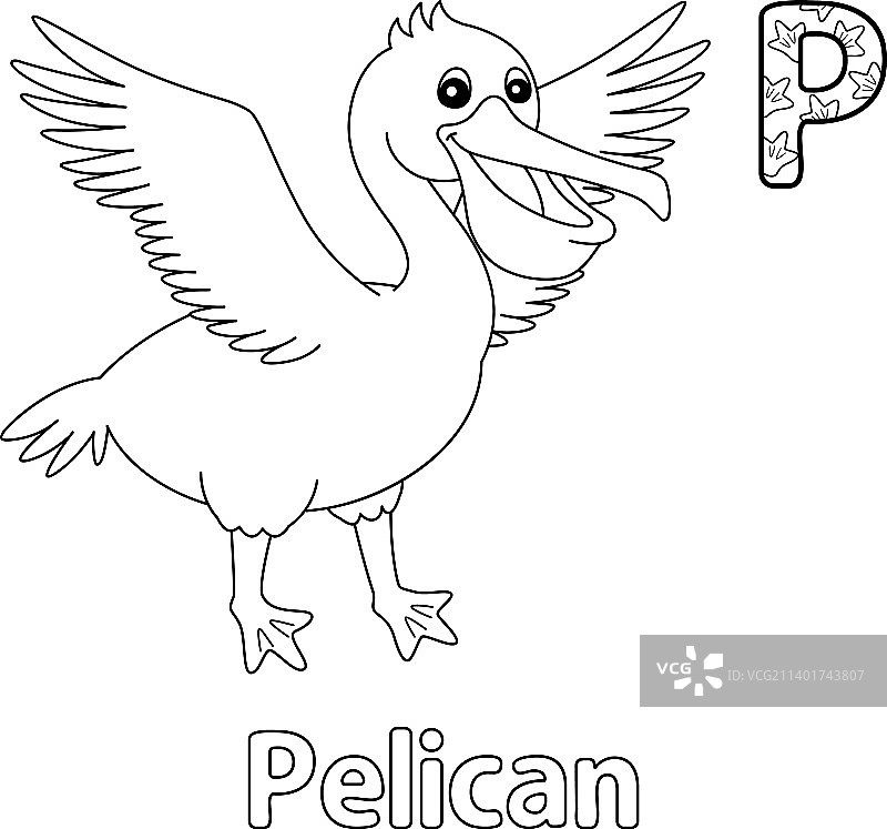 鹈鹕字母ABC填色页图片素材