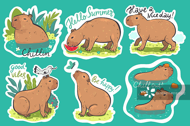 水豚和铭文贴纸套装图片素材