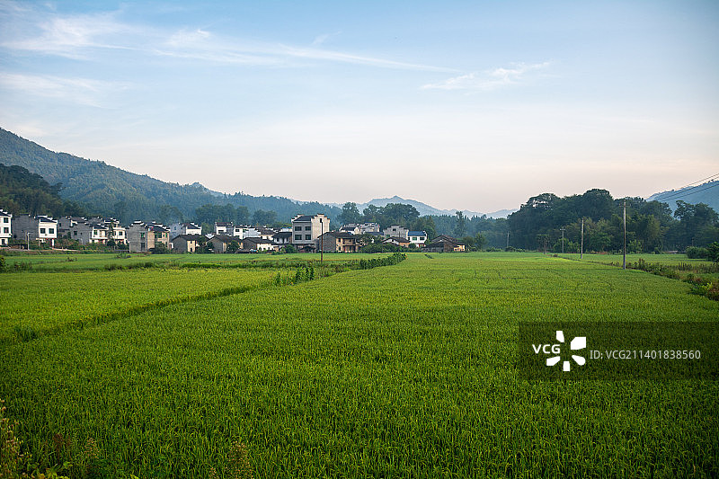 江西省景德镇市浮梁县瑶里古镇风光 秋天 稻田 田野 雾 早晨 背景 清晨图片素材