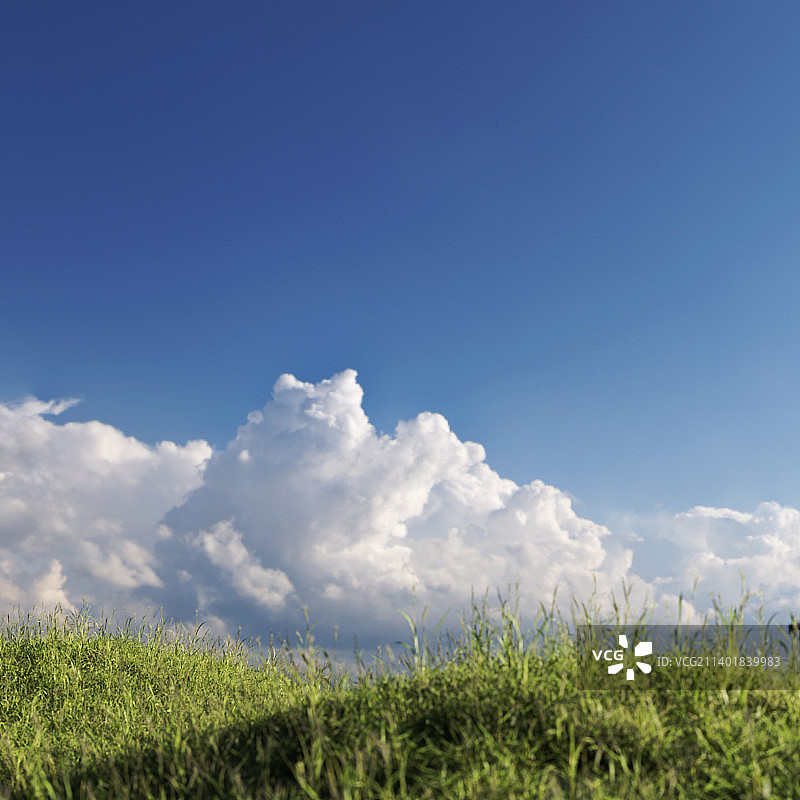 白云草地图片素材