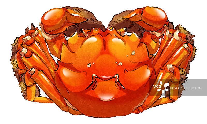 红色大闸蟹特写元素图片素材