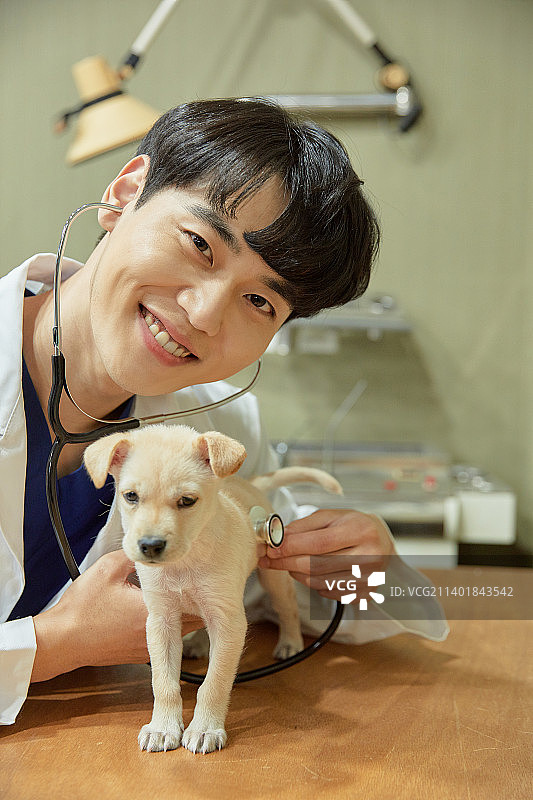 动物医院小狗兽医宠物保险微笑图片素材