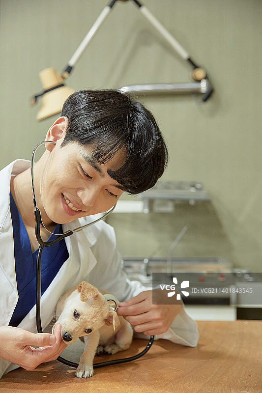 动物医院小狗兽医宠物保险微笑图片素材