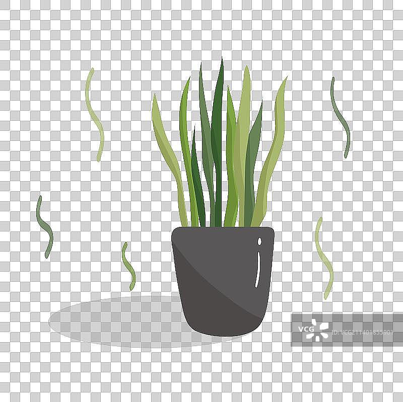 可爱盆栽图片素材