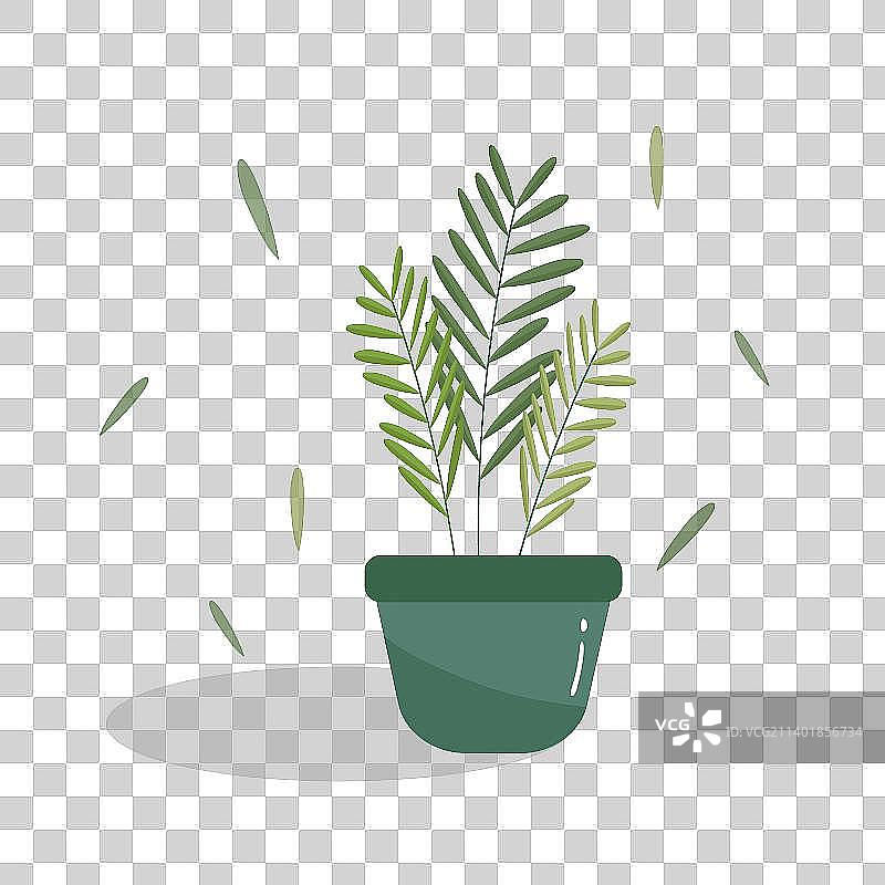 可爱盆栽图片素材