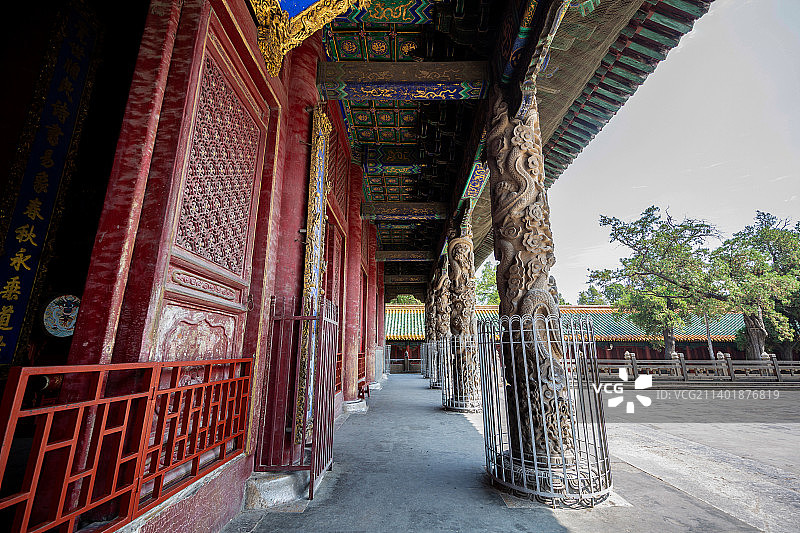 山东济宁曲阜孔庙大成殿外：形态各异的28根石柱图片素材