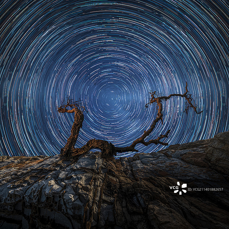 龙腾星舞图片素材