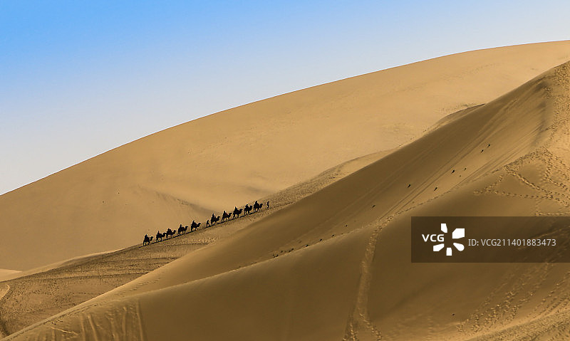 大漠驼队图片素材