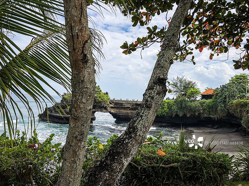 湖边的树顶着天空图片素材